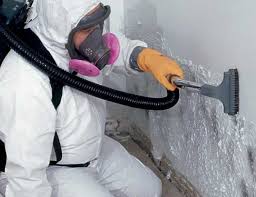 Best Mold Prevention Services  in Terrace Park, OH